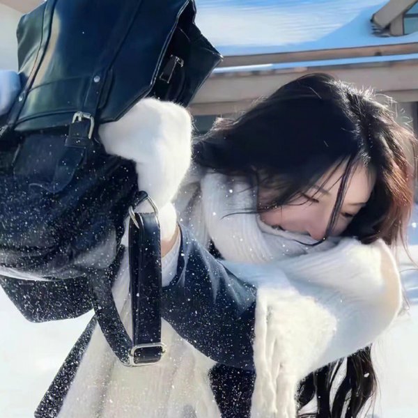 银狐传说